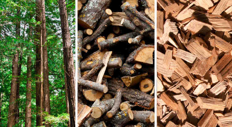 Triptyque forêt bois et bois déchiqueté