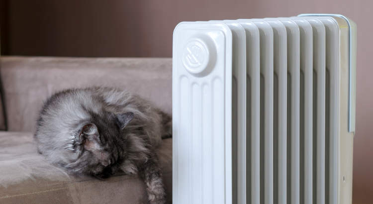 Le radiateur à bain d'huile dégage une chaleur douce et homogène pour plus de confort
