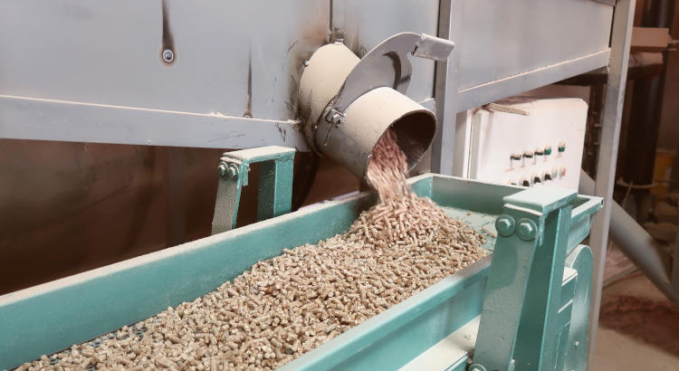 Granulés de bois sortant d'une machine de production