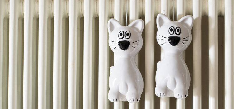 Figurines de chat accrochées à un radiateur
